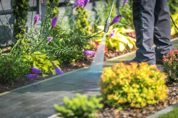 Best Patio and Deck Pressure Washing  in El Portal, FL