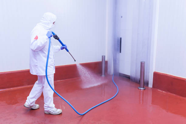Best Fleet Vehicle Washing  in El Portal, FL